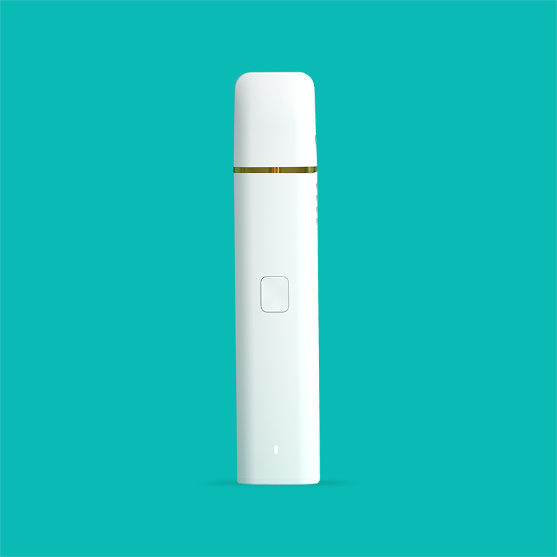 BD39 | BOSHANG Rechargeable Disposable Pod