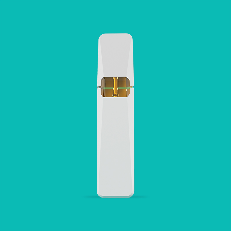 BD60 | BOSHANG Minimalist Rechargeable All-In-One Disposable Device