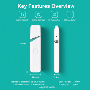 BD38 | Boshang Portable and lightweight Rechargeable All-In-One Disposable