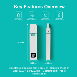 BD29 | Boshang Postless All-In-One Disposable Vape With Smart Screen