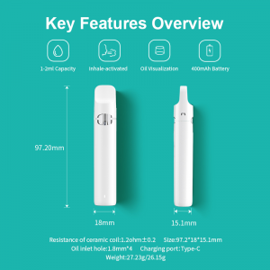 BD56-C | Boshang Postless Rechargeable All-In-One Disposable Device