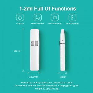 [BD60] Boshang 1-2ml rechargeable Disposable